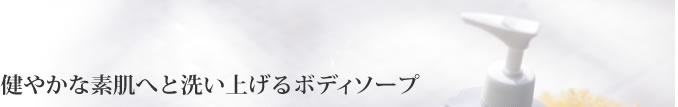 健やかな素肌へと洗い上げるボディソープ