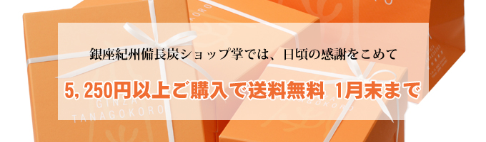 5250円以上お買い上げの場合は無料 1月末まで