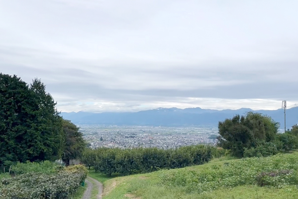 山梨